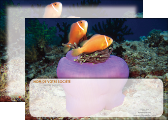 modele affiche animal poissons rouge plongee univers sous marine MLGI37988