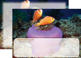 imprimerie flyers animal poissons rouge plongee univers sous marine MLGI37992