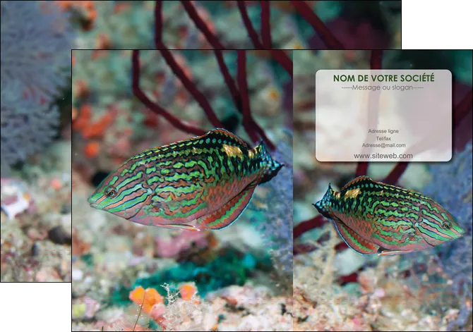 personnaliser modele de pochette a rabat plongee  poisson plongee nature MLGI38160