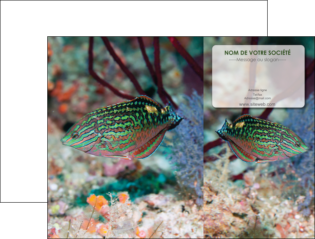 imprimer pochette a rabat plongee  poisson plongee nature MLIGBE38162