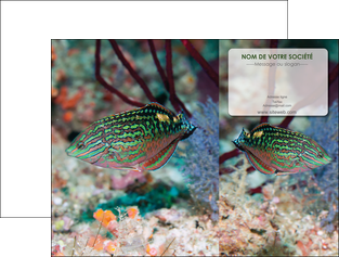 imprimer pochette a rabat plongee  poisson plongee nature MIDCH38162