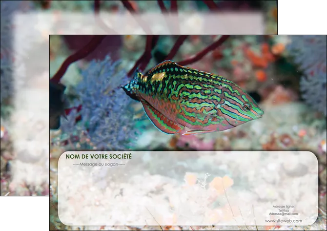 exemple affiche plongee  poisson plongee nature MLGI38174