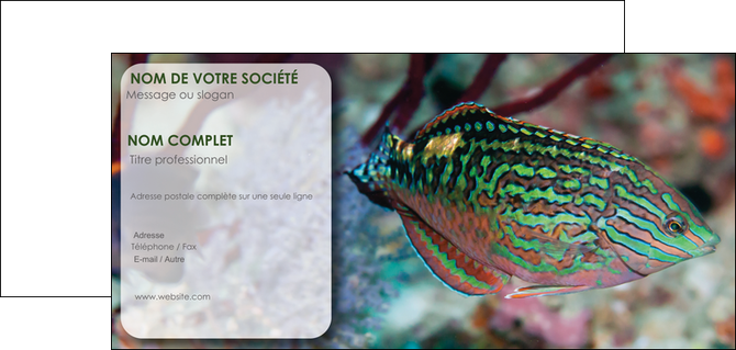 modele carte de correspondance plongee  poisson plongee nature MLIP38178