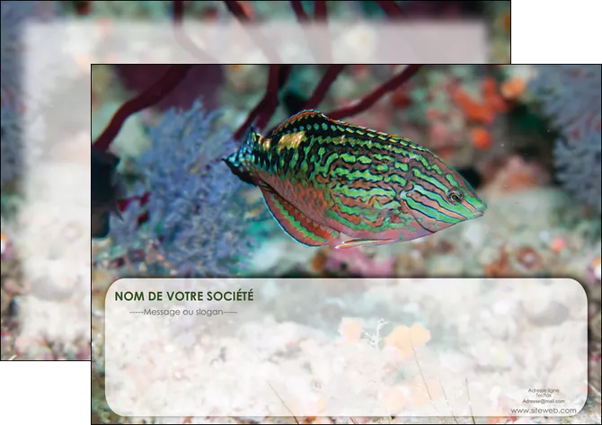 faire modele a imprimer flyers plongee  poisson plongee nature MLGI38184