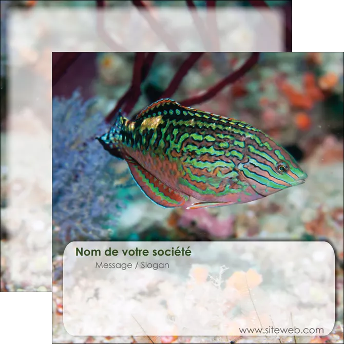 creer modele en ligne flyers plongee  poisson plongee nature MLGI38186