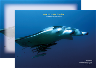 creation graphique en ligne affiche animal poissons animal plongee MIFBE38816
