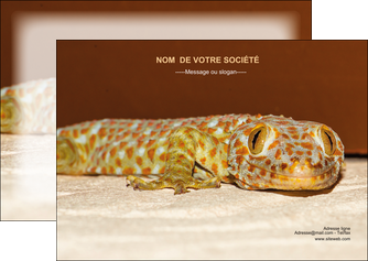 faire flyers animal reptile cameleon animal MLGI39492