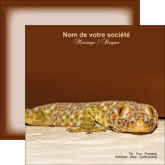 personnaliser maquette flyers animal reptile cameleon animal MLGI39494