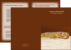 exemple depliant 2 volets  4 pages  animal reptile cameleon animal MLGI39504