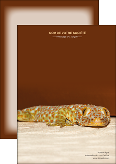 faire flyers animal reptile cameleon animal MLGI39506
