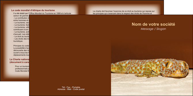 personnaliser modele de depliant 2 volets  4 pages  animal reptile cameleon animal MLGI39508