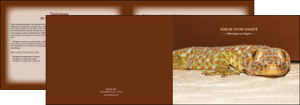 realiser depliant 2 volets  4 pages  animal reptile cameleon animal MLGI39520