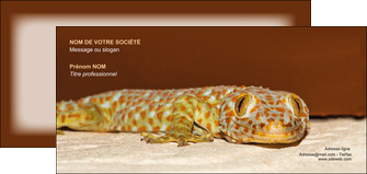 creation graphique en ligne carte de correspondance animal reptile cameleon animal MLGI39524