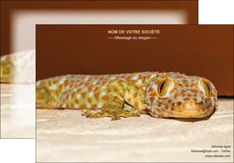 imprimerie affiche animal reptile cameleon animal MLGI39526