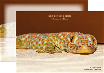 realiser flyers animal reptile cameleon animal MLGI39528