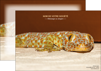 creer modele en ligne affiche animal reptile cameleon animal MLGI39530