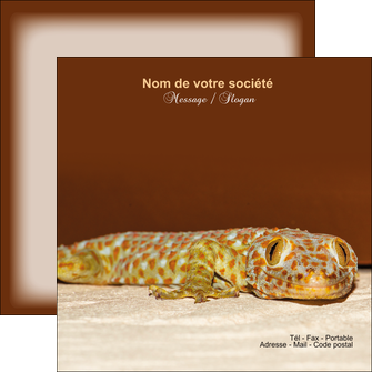 realiser flyers animal reptile cameleon animal MLGI39534