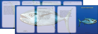 personnaliser modele de depliant 4 volets  8 pages  animal poissons animal bleu MLIG39598