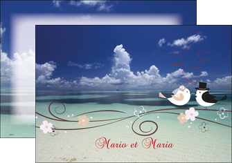 realiser flyers oiseaux couple doiseaux ciel MLGI39730