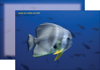 imprimerie affiche animal poisson poissonnier poissonnerie MLGI39766