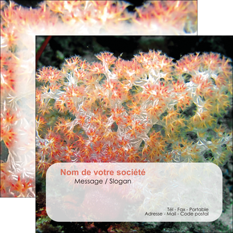 modele flyers fleurs fleurs sous marine herbier MLGI39954