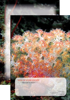 faire modele a imprimer affiche fleurs fleurs sous marine herbier MLGI39958