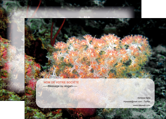 exemple affiche fleurs fleurs sous marine herbier MLGI39986