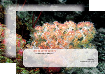 modele affiche fleurs fleurs sous marine herbier MLGI39990