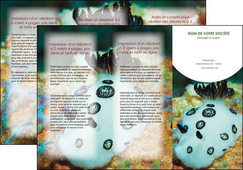 imprimerie depliant 3 volets  6 pages  animal poisson sous marine nature MIDBE40186