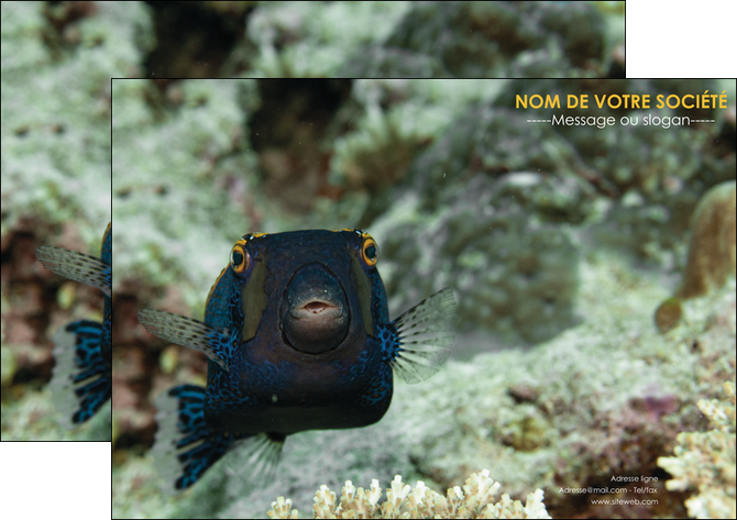 creer modele en ligne affiche animal poisson sous marine nature MIDLU40236