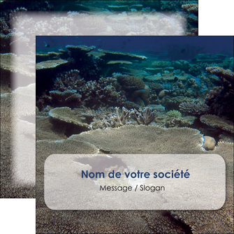 exemple flyers plongee  massif de corail mer nature MIF40628