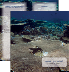 faire modele a imprimer depliant 2 volets  4 pages  plongee  massif de corail mer nature MID40634