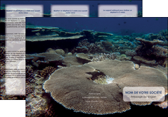 faire depliant 3 volets  6 pages  plongee  massif de corail mer nature MLGI40636