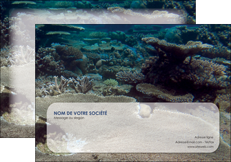 impression affiche plongee  massif de corail mer nature MID40644